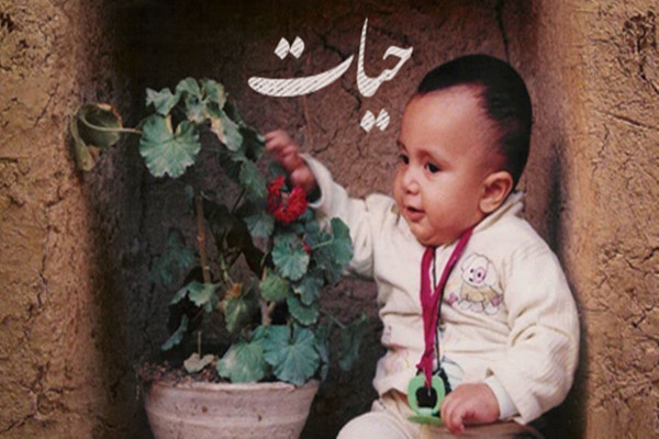 HAYAT